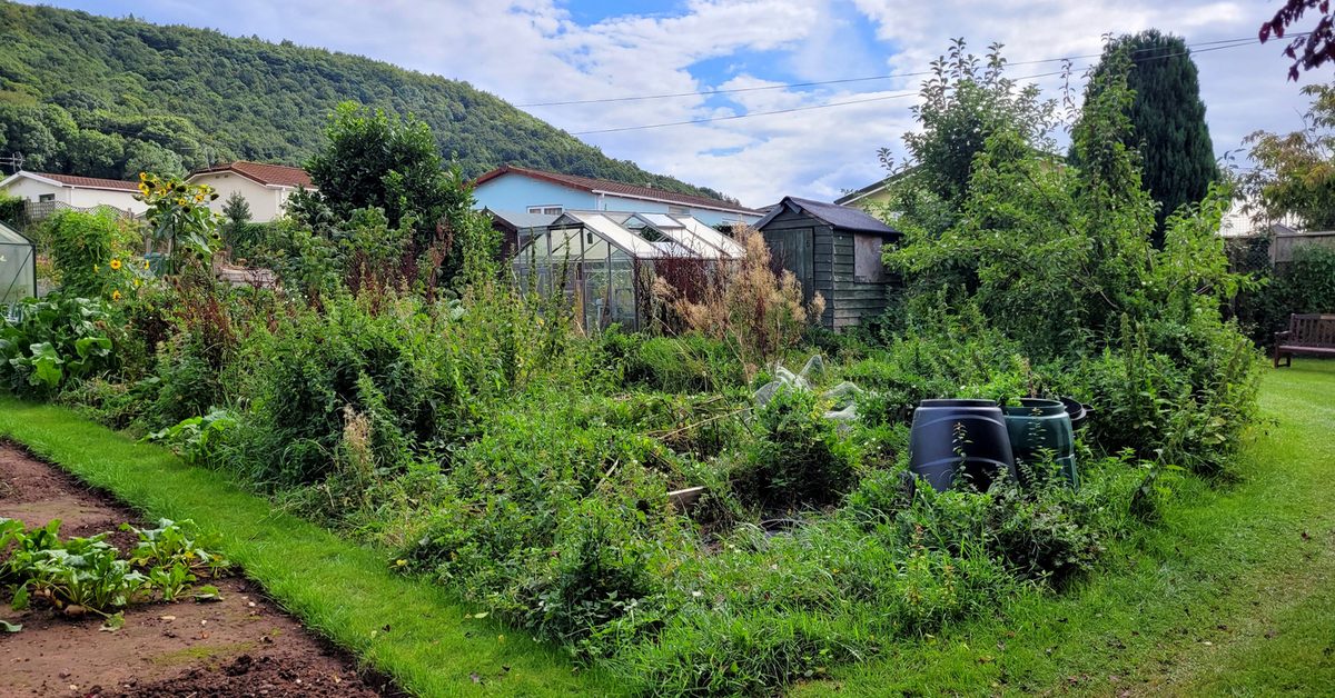 Haveparceller med små huse og skure i en kolonihave